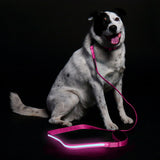 LED Leash - Pink - ShopThatHere.com